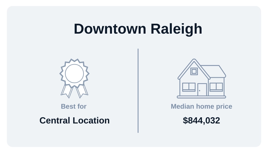 Downtown Raleigh neighborhood graphic with median home price and what it is best for